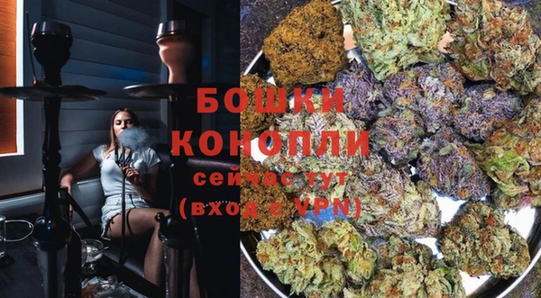 ALPHA PVP Ростов