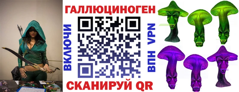 Псилоцибиновые грибы GOLDEN TEACHER  Шимановск 